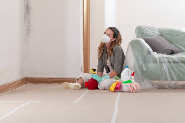 Reliable Mold Remediation contractor in District Heights, MD by Cheap Mold Removal